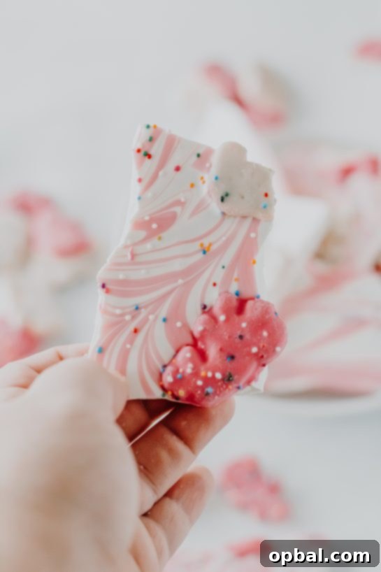 Close-up photo of the finished No-Bake Circus Cookie Bark dessert, highlighting its vibrant colors and textures.
