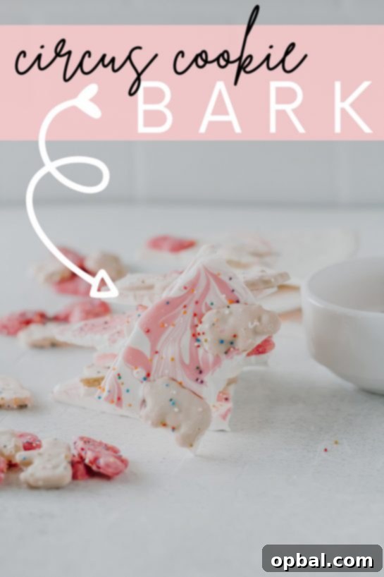 Easy, No-Bake Circus Cookie Bark dessert recipe with pink melted chocolate drizzle, perfect for parties and holidays.