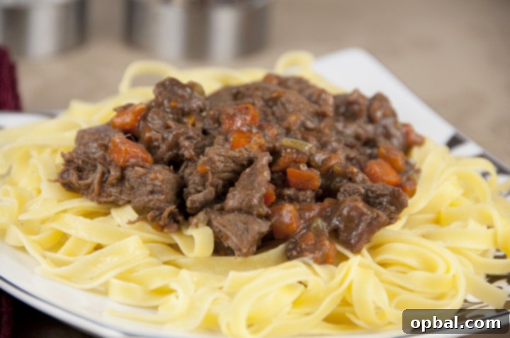 Hearty Homestyle Beef Stew 3 Old Fashioned Beef Stew served over buttered egg noodles