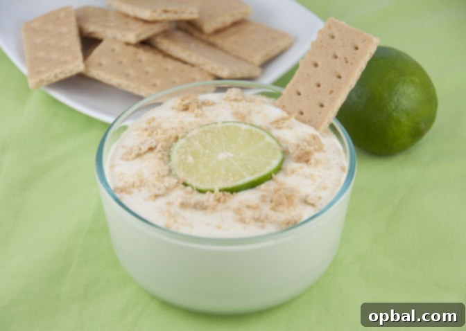 Zesty Key Lime Pie Dip, a deconstructed Key Lime pie experience.