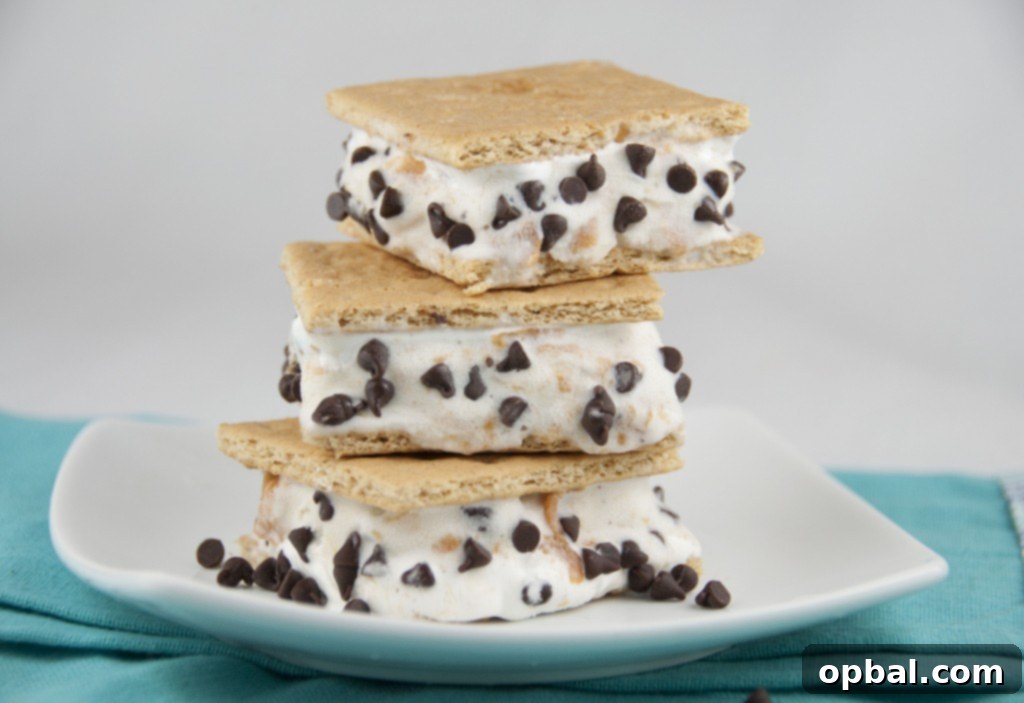Delightful Frozen S'mores, a cool twist on the campfire classic.