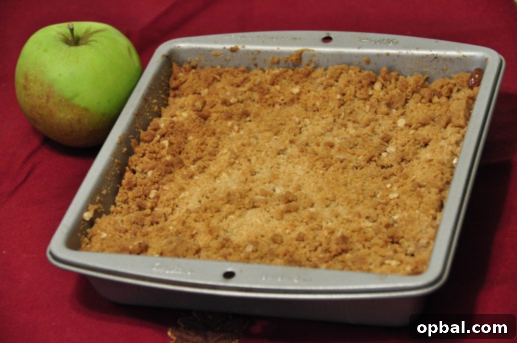 Irresistible Apple Crisp 3 An easy, tasty version of apple crisp, showcasing the crunchy, buttery brown sugar and oatmeal topping over bubbling spiced apples.