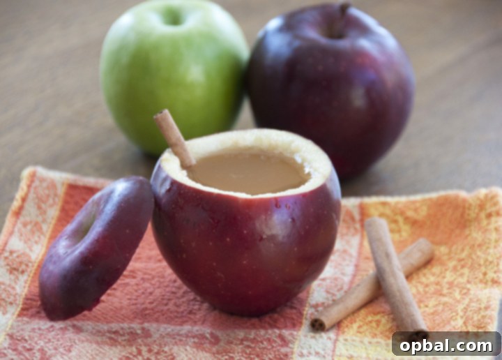 Thanksgiving Feast Planning Guide 2 Crock Pot Spiced Hot Apple Cider Recipe. Great for a party, Thanksgiving, Potluck or Christmas!