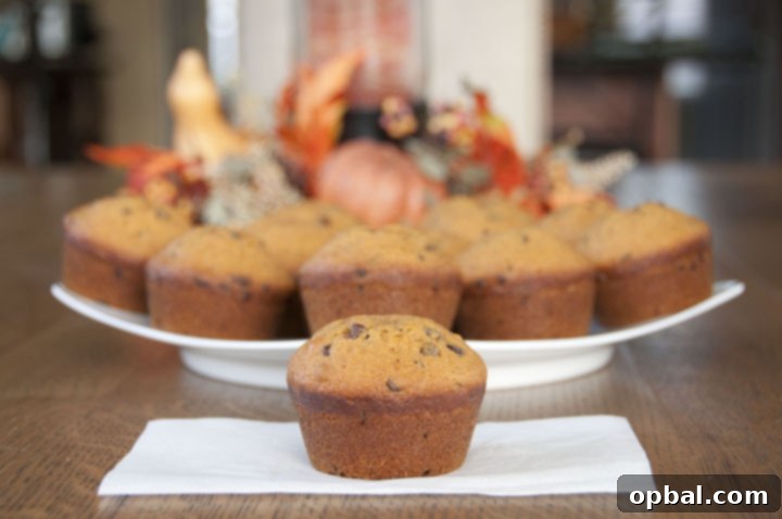Thanksgiving Feast Planning Guide 4 Pumpkin Chocolate Chip Muffins Recipe. Great for fall, Halloween, of Thanksgiving/Christmas breakfast!