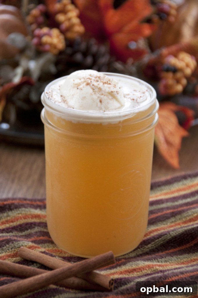 Thanksgiving Feast Planning Guide 3 Apple Cider Floats Recipe made with ginger al and perfect for fall!