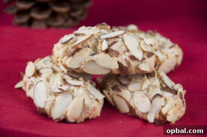 Nonna's Traditional Italian Almond Macaroons 2 These Italian Almond Macaroons are an old family recipe passed on from my Italian grandmother that she made for many years. This would be a great cookie for any holiday, but we have them every year at Christmas as they are a legacy in our family.