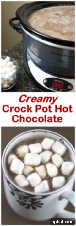 Velvet Crock-Pot Hot Cocoa 7 Creamy Crock Pot Hot Chocolate - throw all of the ingredients in your slow cooker and have the perfect beverage for keeping warm all winter long!