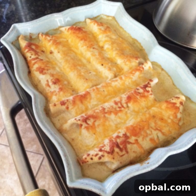 Honey Lime Chicken Enchilada Fiesta 2 Delicious Honey Lime Chicken Enchiladas baked to golden perfection, ready to be served.