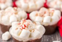Hot Chocolate Pudding Shooters