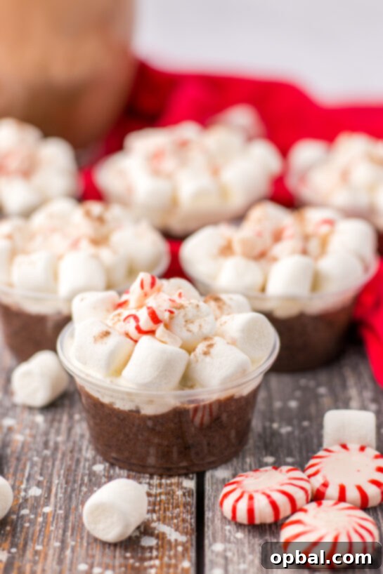Hot Chocolate Pudding Shooters 2 Peppermint Hot Chocolate Pudding Shots