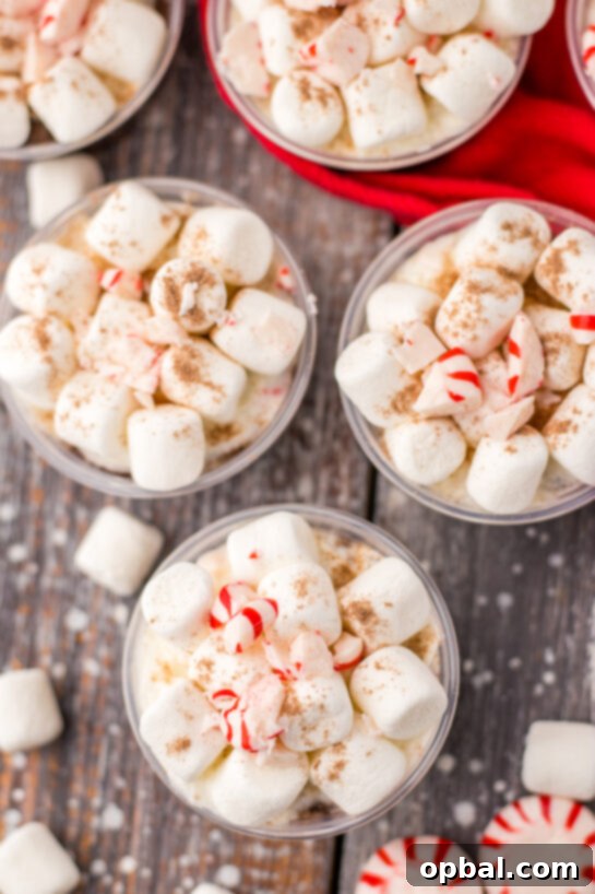 Hot Chocolate Pudding Shooters 11 Peppermint Hot Chocolate Pudding Shots Overhead View