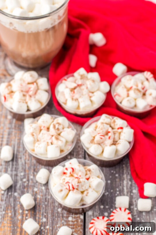 Hot Chocolate Pudding Shooters 12 Close-up of Peppermint Hot Chocolate Pudding Shots Ready to Serve