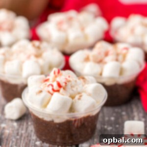 These Peppermint Hot Chocolate Pudding Shots are always such a hit at any holiday party!  Creamy hot chocolate pudding is mixed with Bailey’s Irish Cream and topped with whipped cream, mini marshmallows and crushed peppermints.  These are easy to whip up and a great festive treat!