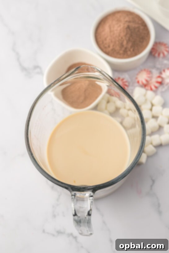 Hot Chocolate Pudding Shooters 4 Adding Bailey's Irish Cream to the pudding mixture