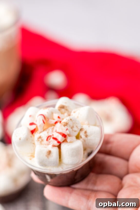 Hot Chocolate Pudding Shooters 8 Close-up of Peppermint Hot Chocolate Pudding Shots