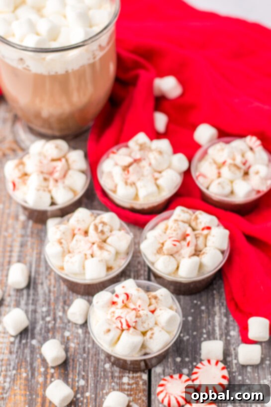 Hot Chocolate Pudding Shooters 9 Festive Peppermint Hot Chocolate Pudding Shots